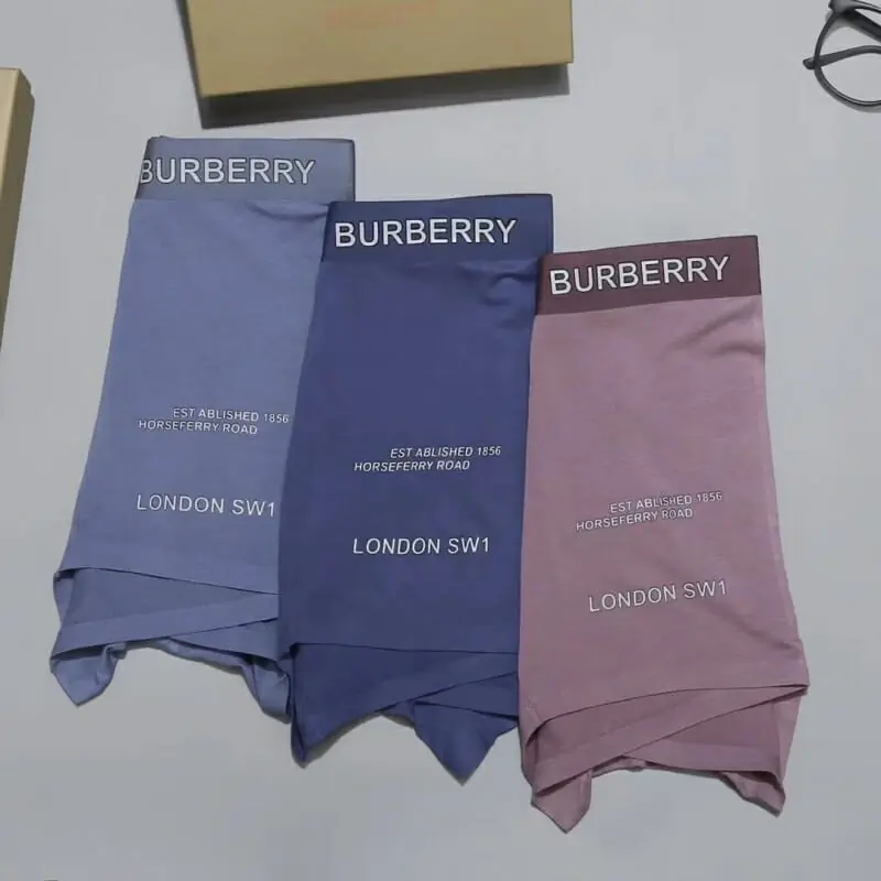 burberry sous vetementss pour homme s_1230a474